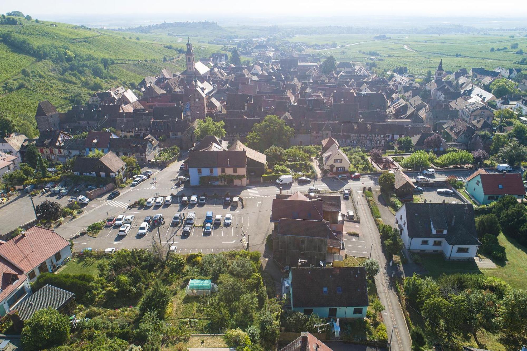Gewurztraminer - Studio Au Pied Du Vignoble - Renove Recemment - Parking Gratuit Riquewihr Bagian luar foto